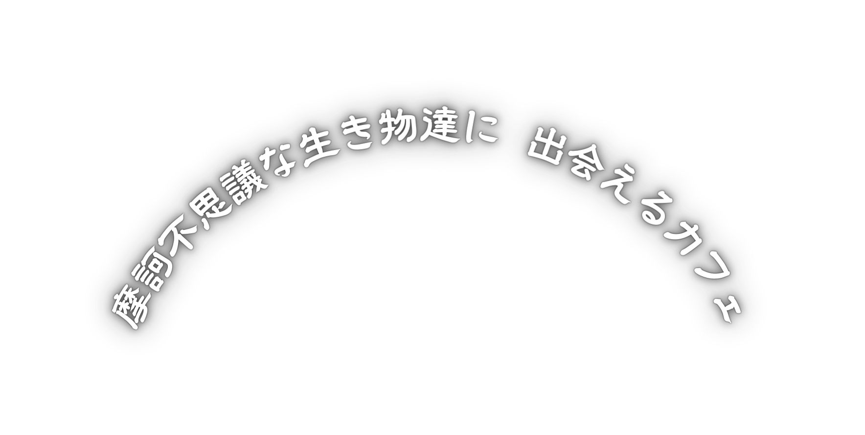 摩訶不思議な生き物達に 出会えるカフェ