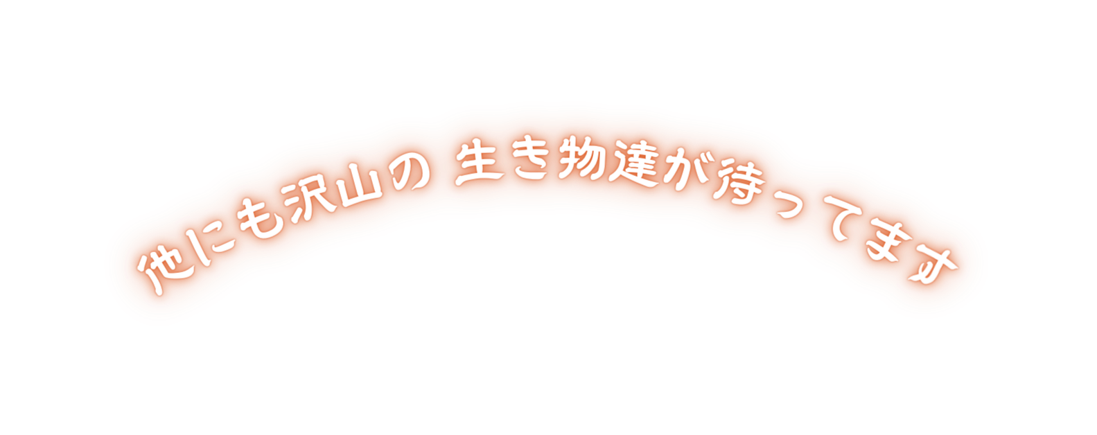 他にも沢山の 生き物達が待ってます